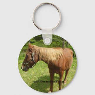 Web-Schlüsselanhänger Schlüsselanhänger