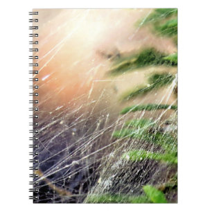 Webdesign - Notebook Notizblock