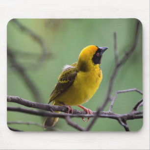 Weber, Vogel, Gelber Vogel Mousepad