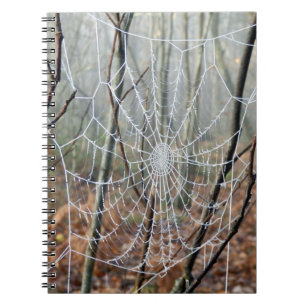 Website des European Garden Spider Foto Notebook Notizblock