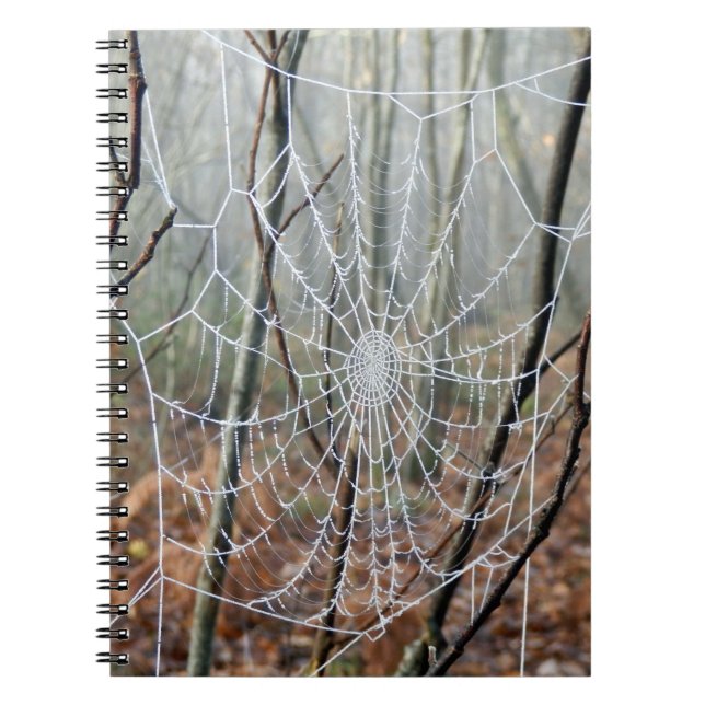 Website des European Garden Spider Foto Notebook Notizblock (Vorderseite)