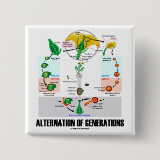 Wechsel der Generationen (Blumen-Lebenszyklus) Button