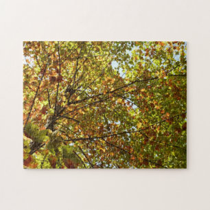 Wechselnde Ahornbaum grüne und goldene Herbstfarbe Puzzle