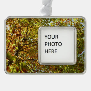 Wechselnde Ahornbaum grüne und goldene Herbstfarbe Rahmen-Ornament Silber