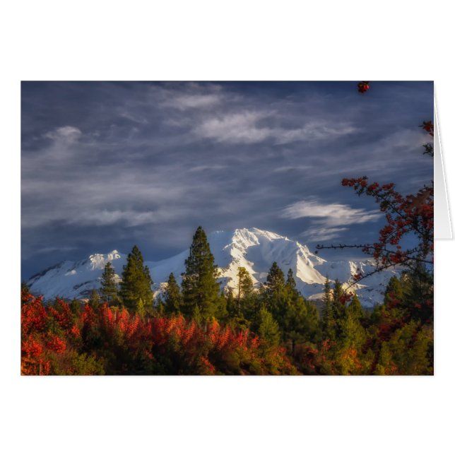 Weck (Vorderseite (Horizontal))