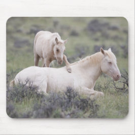 Weck Brother Mousepad