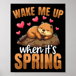 Weck mich auf, wenn Frühling ist Lustiger Groundho Poster