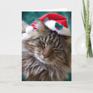 Weck mir Santa Cat Card auf Feiertagskarte