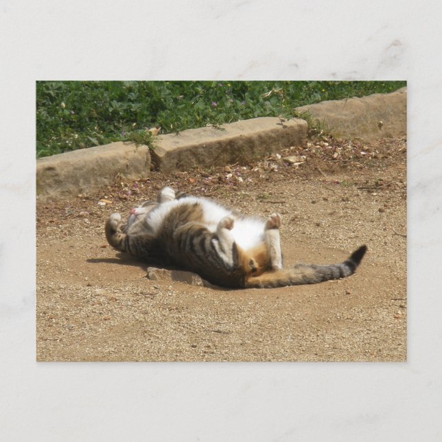 Weck Postkarte (Vorderseite)