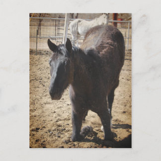 Weck Postkarte