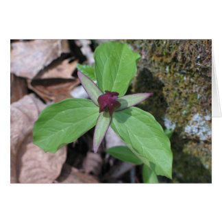 Weck Robin - Maßgeschneidert2