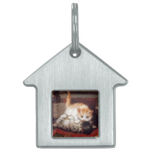 Weckend KITTENS Tiermarke