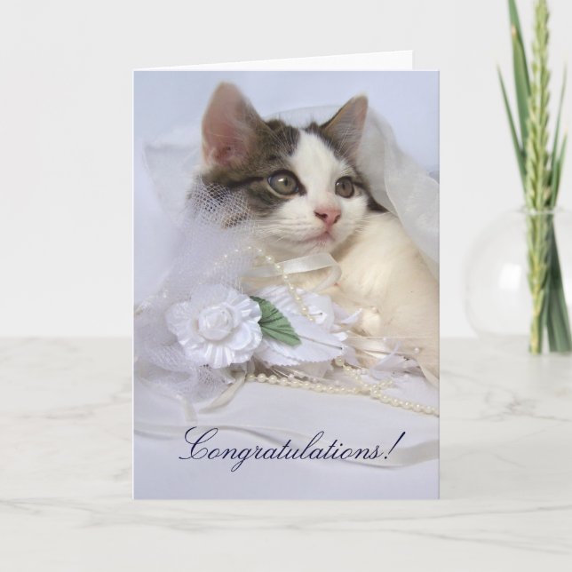 Wedding Kitten Card Karte (Vorderseite)