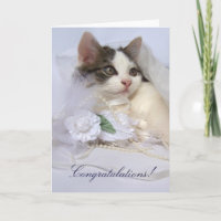 Wedding Kitten Card