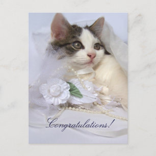 Wedding Kitten Postcard Postkarte
