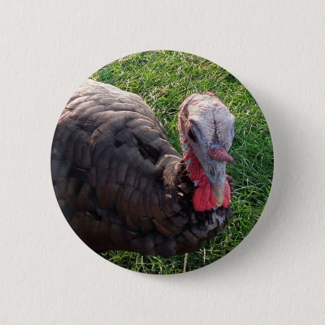 Wedrose Morgenknopf 1 Button (Vorderseite)