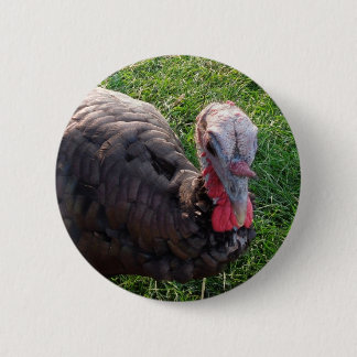 Wedrose Morgenknopf 1 Button