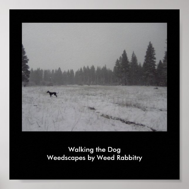 WeedScapes von Weed Rabbitry Poster (Vorne)