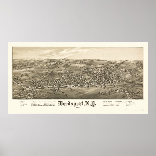 Weedsport, NY Panorama Karte - 1885 Poster (Vorne)