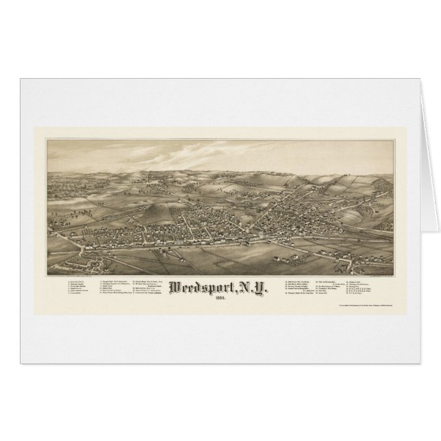 Weedsport, NY panoramische Karte - 1885 (Vorderseite (Horizontal))