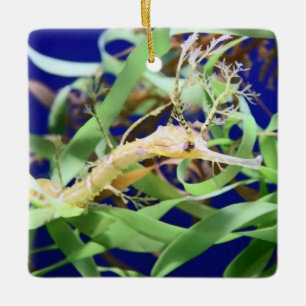 Weedy Sea Dragon Keramikornament