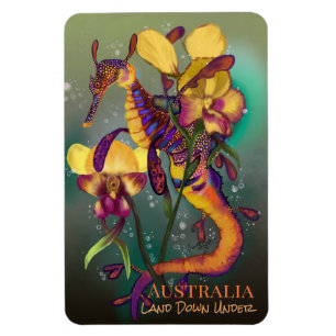 Weedy Seadragon mit Orchids Magnet