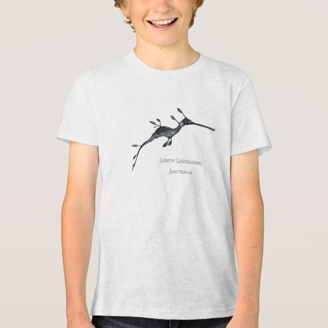 Weedy Seadragon Tri-Blend Shirt (Vorderseite)