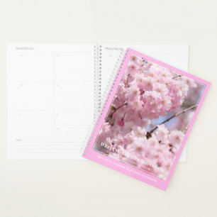 Weeping Cherry Blossoms [Planerbericht] Planer