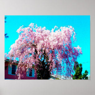 WEEPING CHERRY TREE-Plakat Poster