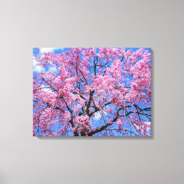 Weeping Cherry: Yaebenishidare [Canvas Print] Leinwanddruck (Vorderseite)