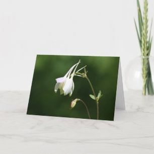 Weeping Columbine Sympathy Card Karte