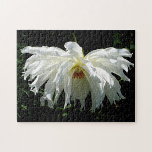 Weeping White Dahlia Puzzle