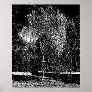 Weeping Willow Leinwand Poster