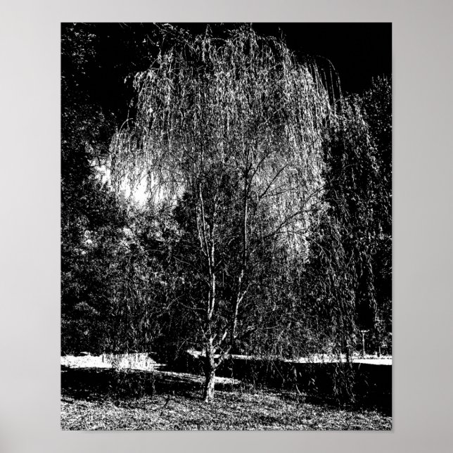 Weeping Willow Leinwand Poster (Vorne)