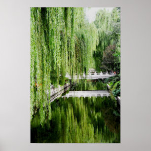 Weeping Willow Poster
