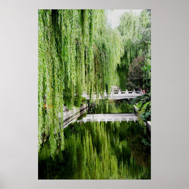 Weeping Willow Poster (Vorne)