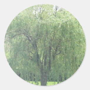 Weeping WIllow Runder Aufkleber