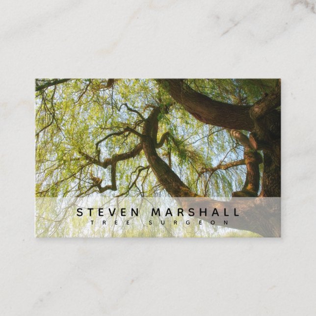 Weeping Willow Tree Surgeon UK Euro Business Card Visitenkarte (Vorderseite)