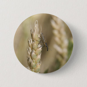 Weevil Button