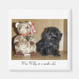 WEEWILLYvs4inchBB-1, Wee Willy im Alter von 2 Woch Magnet