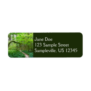 Weg Ancient Groves im Olympic National Park