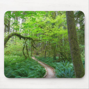 Weg Ancient Groves im Olympic National Park Mousepad