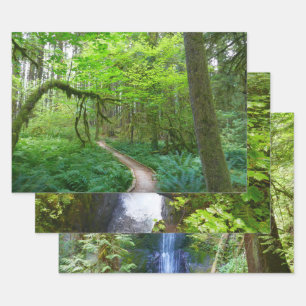 Weg Ancient Groves im Olympic-Nationalpark Geschenkpapier Set