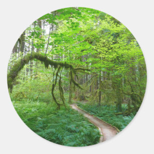 Weg Ancient Groves im Olympic-Nationalpark Runder Aufkleber