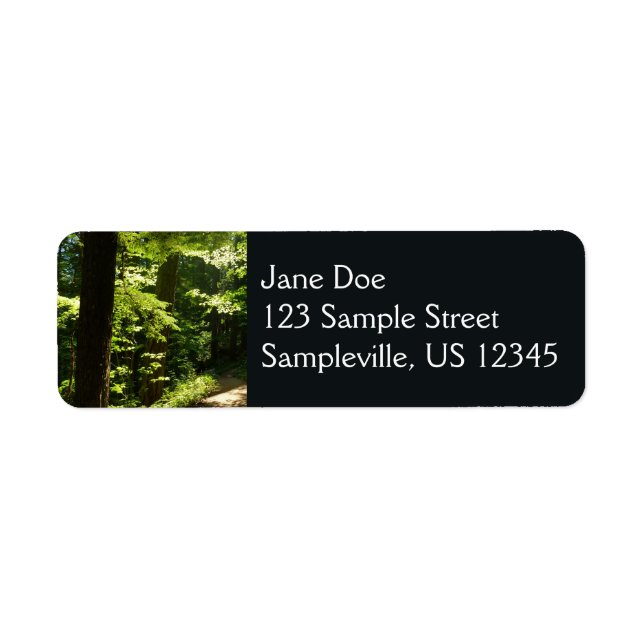 Weg aus dem Silberfall (Vorne)