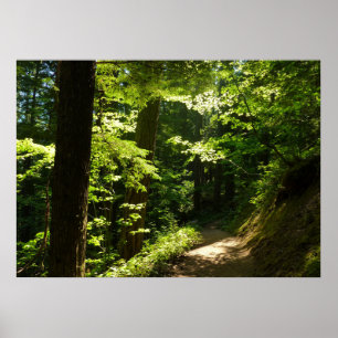 Weg aus dem Silberfall Poster