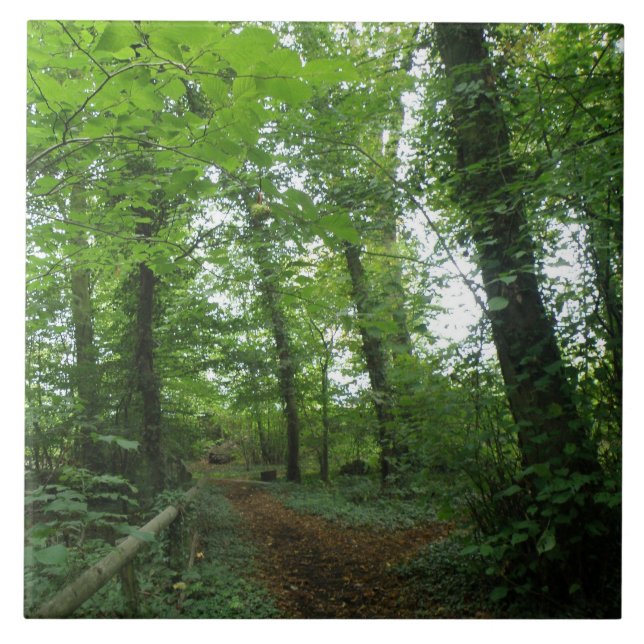 Weg durch den grünen Wald Fliese (Vorderseite)