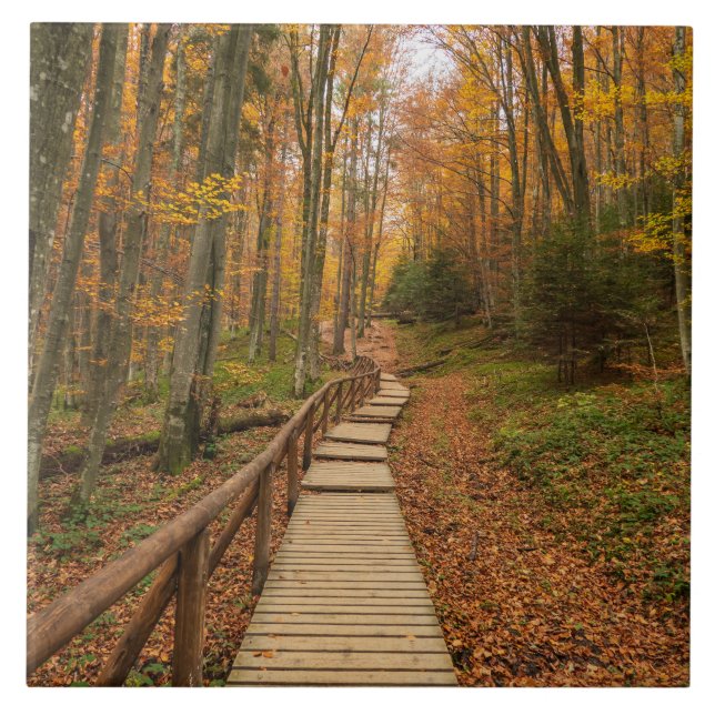 Weg durch den Herbstwald. Fliese (Vorderseite)