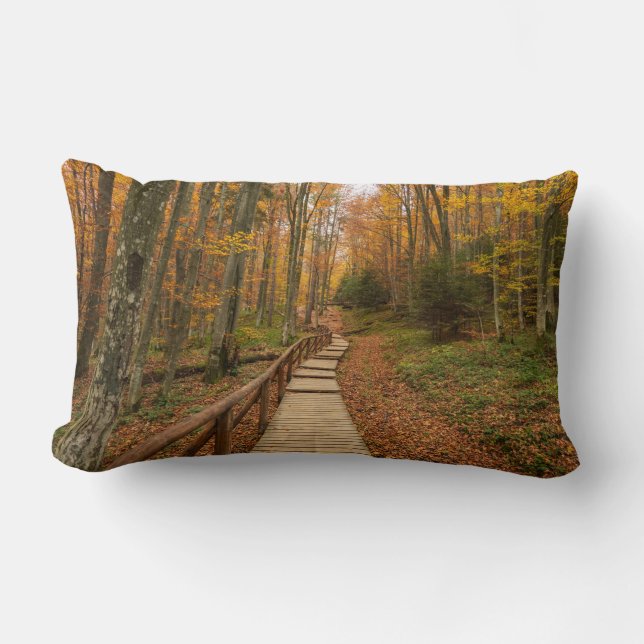 Weg durch den Herbstwald. Lendenkissen (Vorderseite)