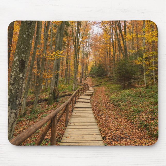 Weg durch den Herbstwald. Mousepad (Vorne)